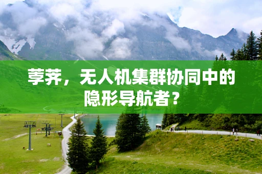荸荠，无人机集群协同中的隐形导航者？