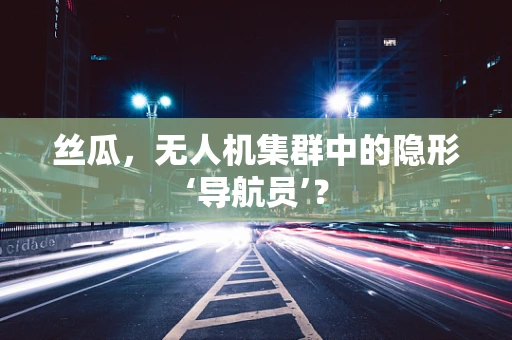 丝瓜，无人机集群中的隐形‘导航员’？