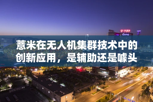 薏米在无人机集群技术中的创新应用，是辅助还是噱头？