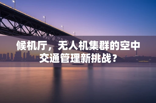 候机厅，无人机集群的空中交通管理新挑战？