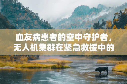 血友病患者的空中守护者，无人机集群在紧急救援中的新挑战