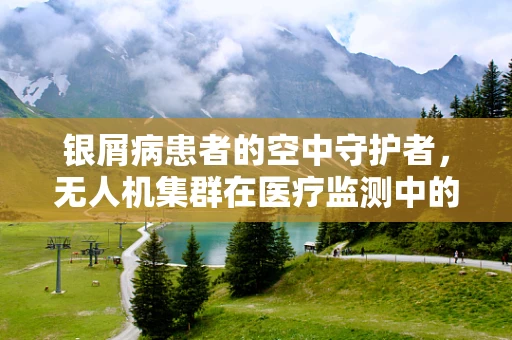 银屑病患者的空中守护者，无人机集群在医疗监测中的潜力？
