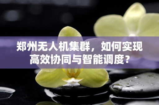 郑州无人机集群，如何实现高效协同与智能调度？