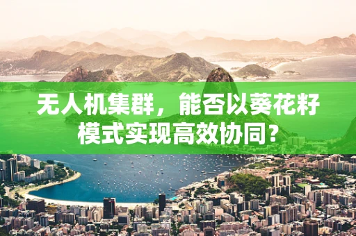 无人机集群，能否以葵花籽模式实现高效协同？