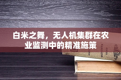 白米之舞，无人机集群在农业监测中的精准施策