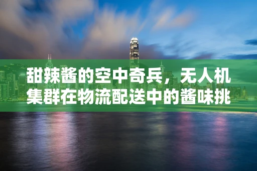 甜辣酱的空中奇兵，无人机集群在物流配送中的酱味挑战