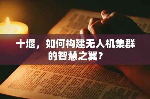 十堰，如何构建无人机集群的智慧之翼？