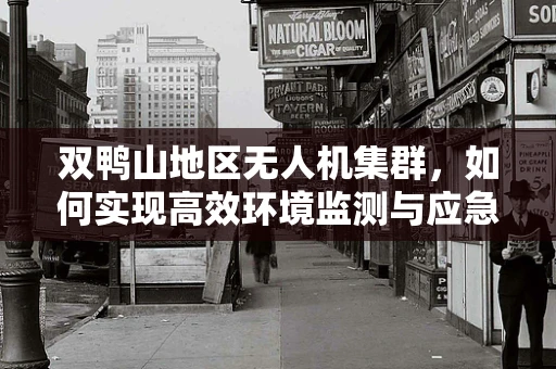 双鸭山地区无人机集群，如何实现高效环境监测与应急响应？