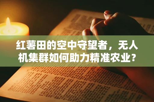 红薯田的空中守望者，无人机集群如何助力精准农业？