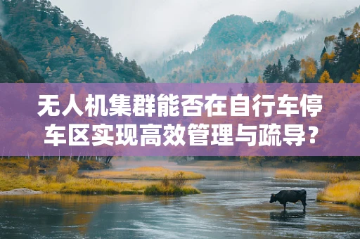 无人机集群能否在自行车停车区实现高效管理与疏导？