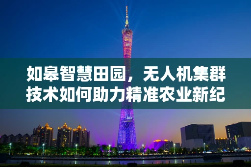 如皋智慧田园，无人机集群技术如何助力精准农业新纪元？
