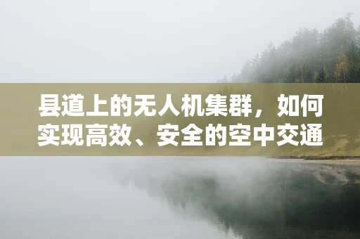 县道上的无人机集群，如何实现高效、安全的空中交通管理？