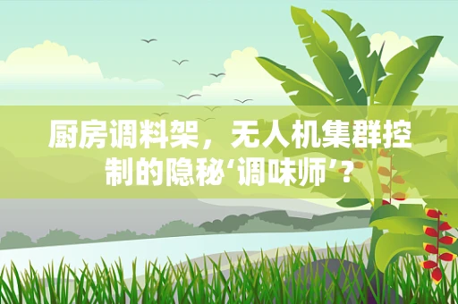 厨房调料架，无人机集群控制的隐秘‘调味师’？