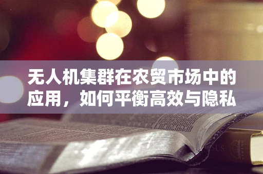 无人机集群在农贸市场中的应用，如何平衡高效与隐私？
