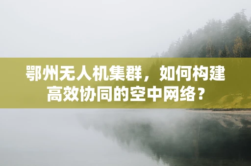 鄂州无人机集群，如何构建高效协同的空中网络？