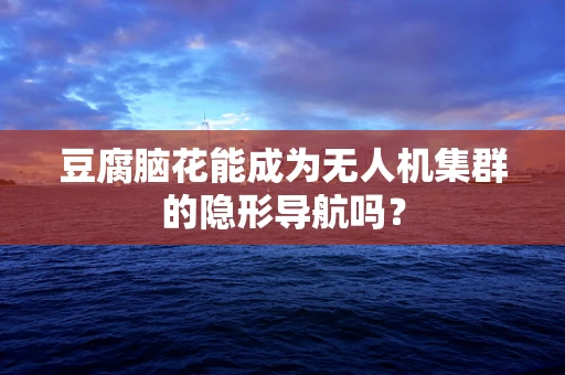 豆腐脑花能成为无人机集群的隐形导航吗？