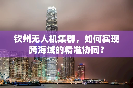 钦州无人机集群，如何实现跨海域的精准协同？