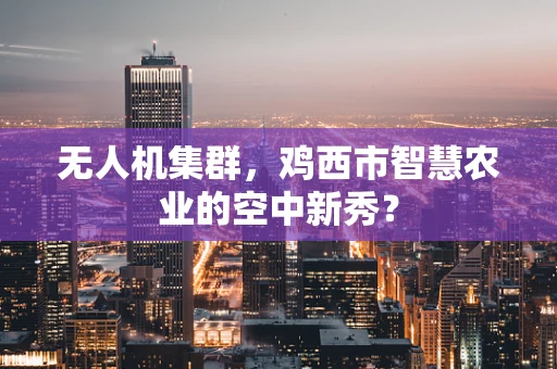 无人机集群，鸡西市智慧农业的空中新秀？
