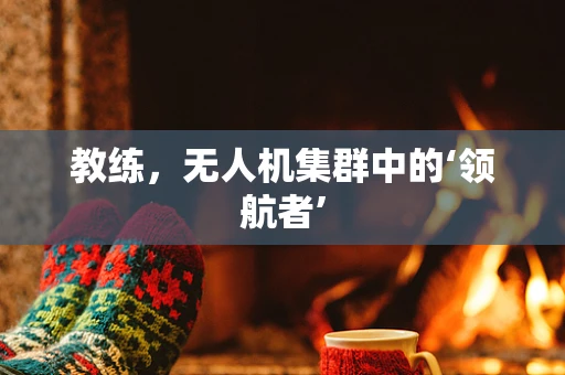 教练，无人机集群中的‘领航者’