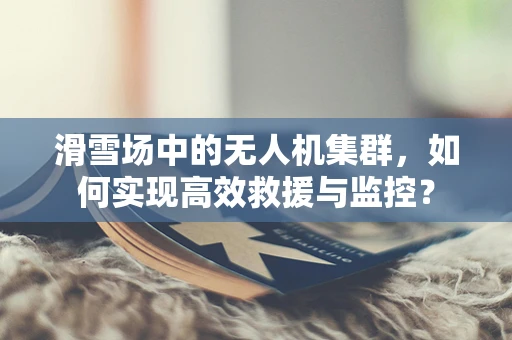 滑雪场中的无人机集群，如何实现高效救援与监控？
