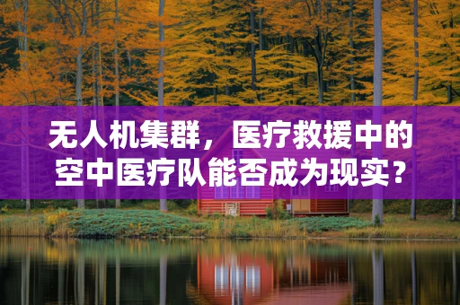 无人机集群，医疗救援中的空中医疗队能否成为现实？