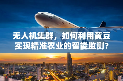 无人机集群，如何利用黄豆实现精准农业的智能监测？