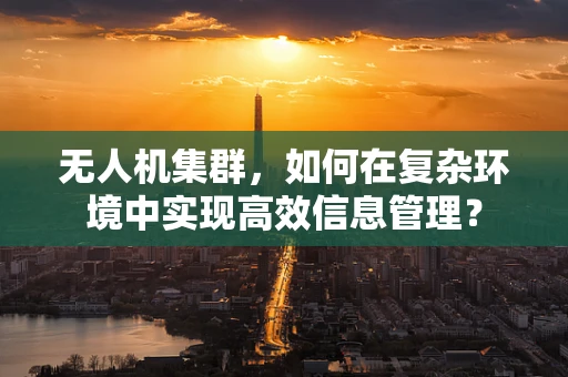 无人机集群，如何在复杂环境中实现高效信息管理？