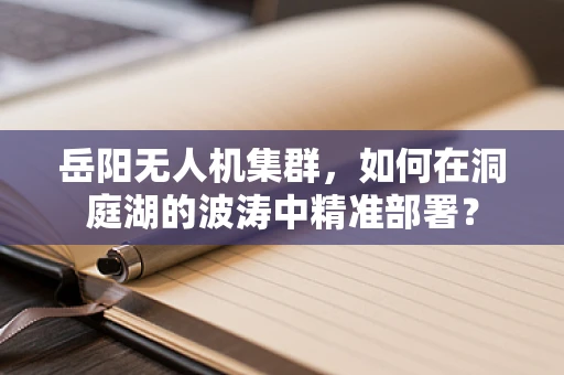 岳阳无人机集群，如何在洞庭湖的波涛中精准部署？