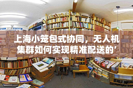 上海小笼包式协同，无人机集群如何实现精准配送的‘鲜美’？