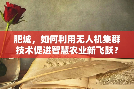 肥城，如何利用无人机集群技术促进智慧农业新飞跃？