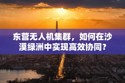 东营无人机集群，如何在沙漠绿洲中实现高效协同？