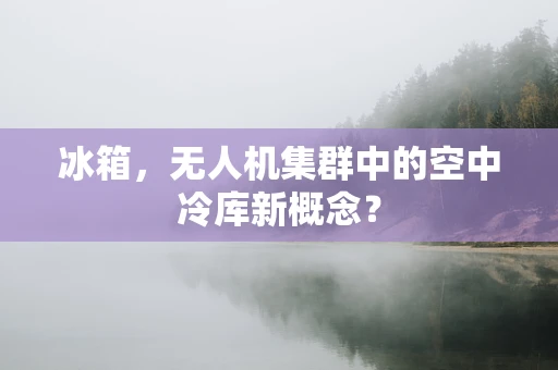 冰箱，无人机集群中的空中冷库新概念？