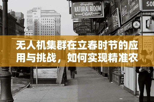 无人机集群在立春时节的应用与挑战，如何实现精准农业的春耕智慧？