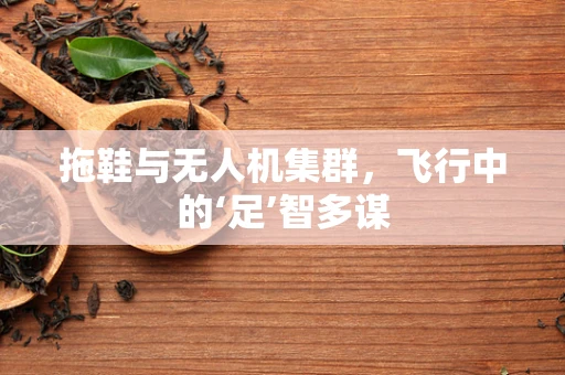 拖鞋与无人机集群，飞行中的‘足’智多谋