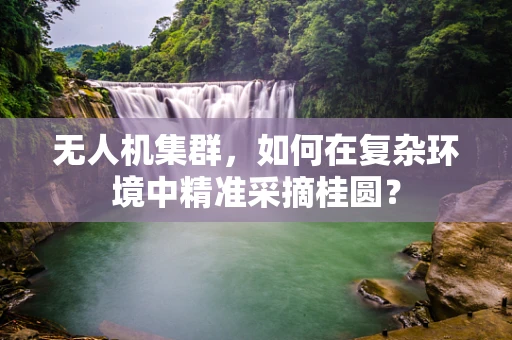 无人机集群，如何在复杂环境中精准采摘桂圆？