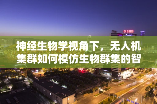 神经生物学视角下，无人机集群如何模仿生物群集的智能决策？