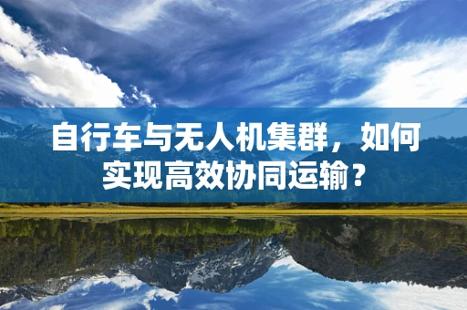 自行车与无人机集群，如何实现高效协同运输？