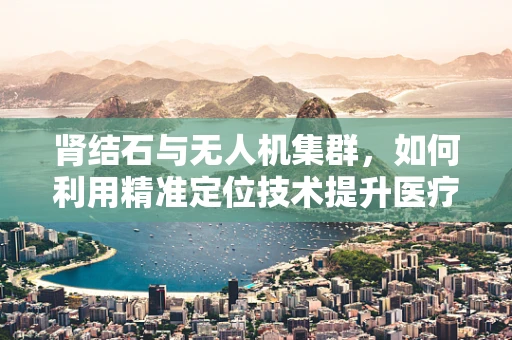 肾结石与无人机集群，如何利用精准定位技术提升医疗物资配送效率？