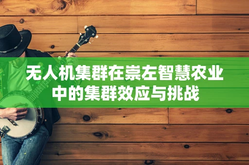 无人机集群在崇左智慧农业中的集群效应与挑战