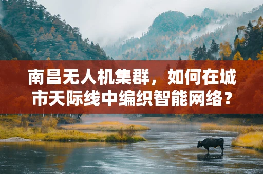 南昌无人机集群，如何在城市天际线中编织智能网络？