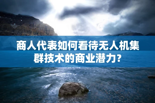 商人代表如何看待无人机集群技术的商业潜力？