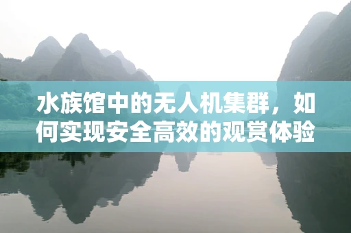 水族馆中的无人机集群，如何实现安全高效的观赏体验？