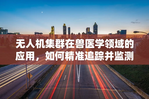无人机集群在兽医学领域的应用，如何精准追踪并监测动物健康？
