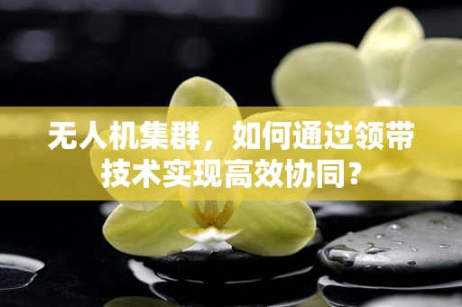 无人机集群，如何通过领带技术实现高效协同？