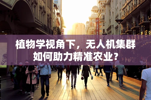 植物学视角下，无人机集群如何助力精准农业？