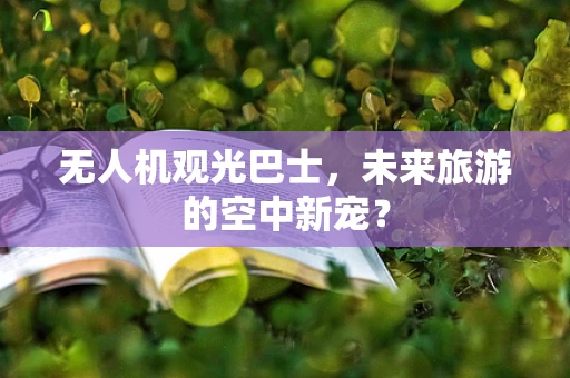 无人机观光巴士，未来旅游的空中新宠？