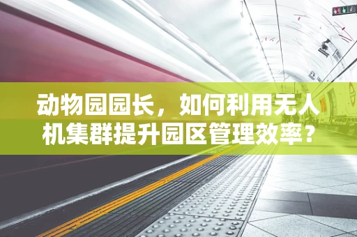 动物园园长，如何利用无人机集群提升园区管理效率？