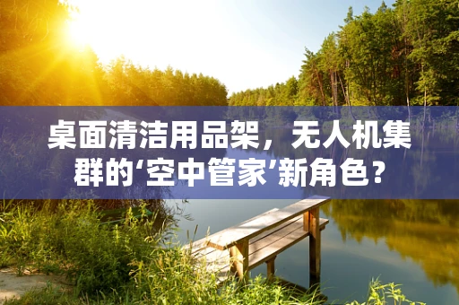 桌面清洁用品架，无人机集群的‘空中管家’新角色？