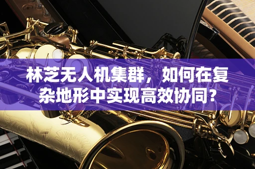 林芝无人机集群，如何在复杂地形中实现高效协同？