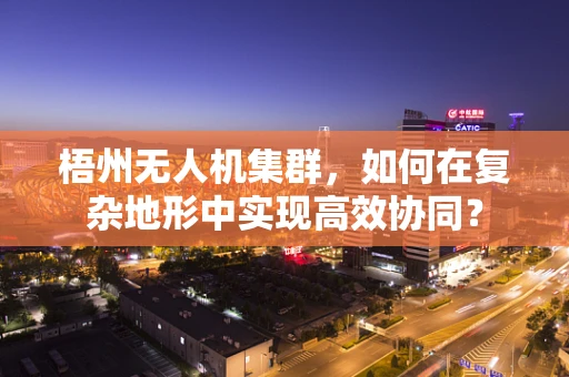 梧州无人机集群，如何在复杂地形中实现高效协同？